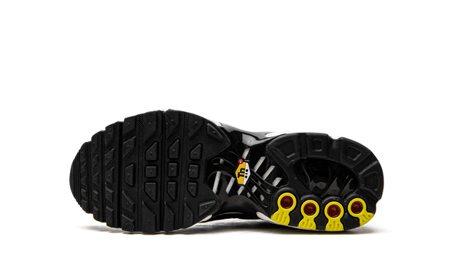 Air Max Plus