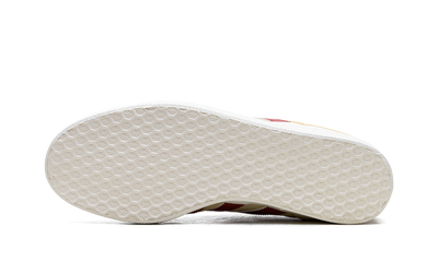 Gazelle Colombia