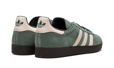 Gazelle Mexico